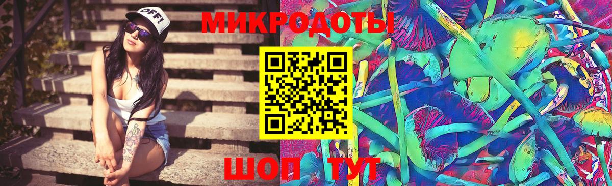Шебекино  Псилоцибиновые грибы прущие грибы  Вход с VPN 