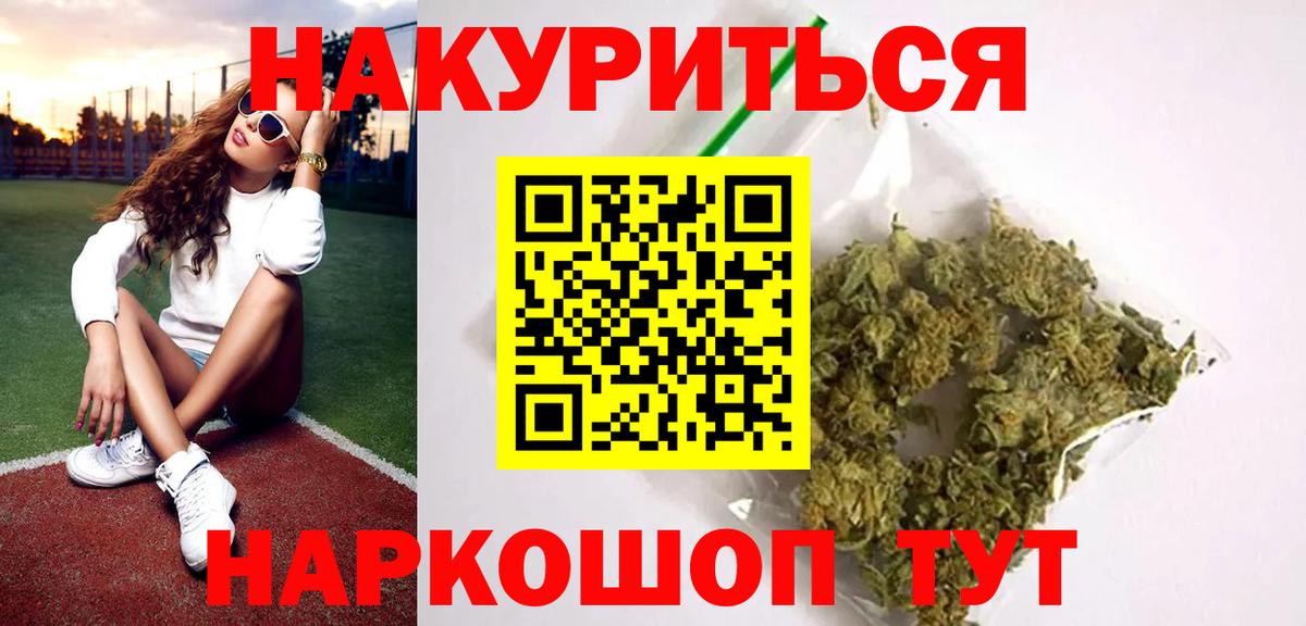Бошки Шишки план Шебекино